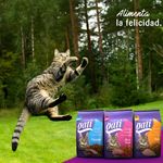 Alimento-Marca-Gati-Para-Gato-Adulto-Mar-Y-Tierra-M-s-2-Meses-454g-6-59819