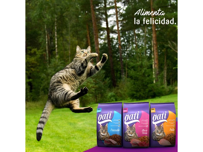 Alimento-Marca-Gati-Para-Gato-Adulto-Mar-Y-Tierra-M-s-2-Meses-454g-6-59819