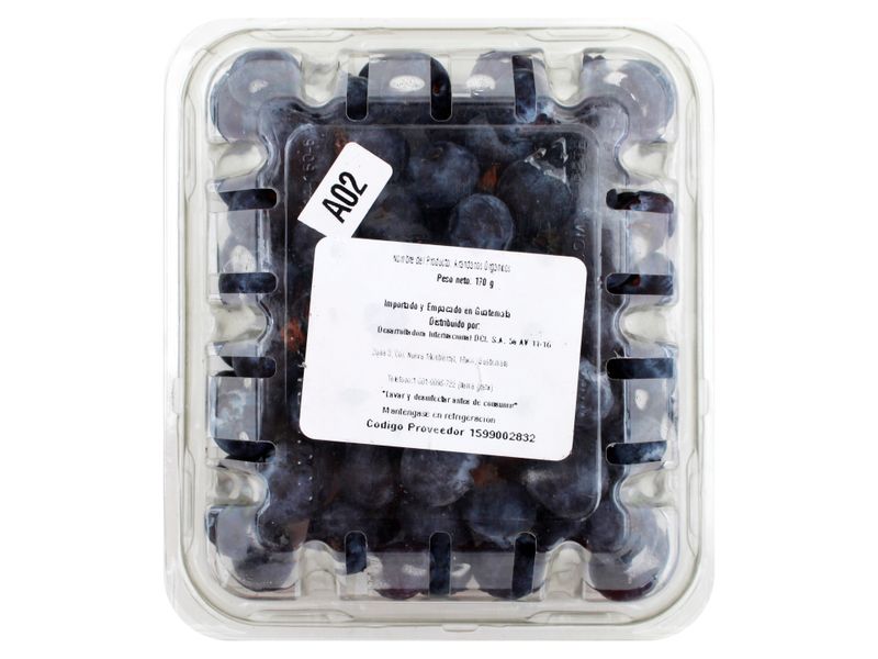 Arandano-Organico-Clamshell-170gr-2-50921