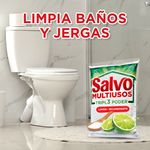 Detergente-En-Polvo-Salvo-Multiusos-Triple-Poder-1kg-5-52958