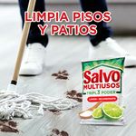 Detergente-En-Polvo-Salvo-Multiusos-Triple-Poder-1kg-6-52958