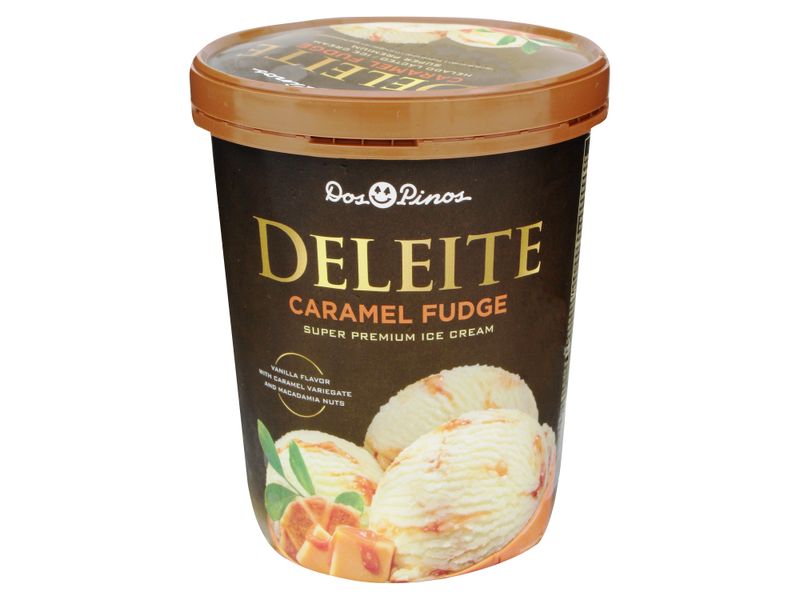 Helado-Dos-Pinos-Deleite-Caramelo-Fud-565gr-19-9oz-1-33364