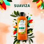 Shampoo-Herbal-Essences-Bio-Renew-Golden-Moringa-Oil-400-ml-2-9069