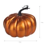 Calabazas-met-licas-marca-Way-to-Celebrate-grandes-12-61698