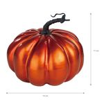 Calabazas-met-licas-marca-Way-to-Celebrate-grandes-14-61698