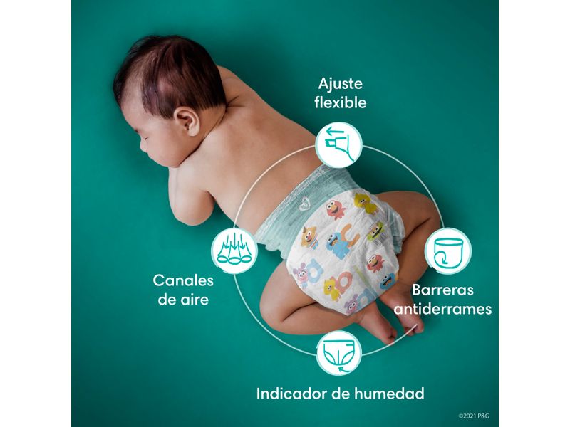 Pa-ales-Pampers-Baby-Dry-Talla-4-92-Uds-8-5125
