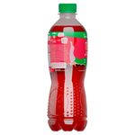 Te-Rojo-Dos-Pinos-Botella-500ml-3-49005