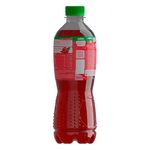 Te-Rojo-Dos-Pinos-Botella-500ml-4-49005