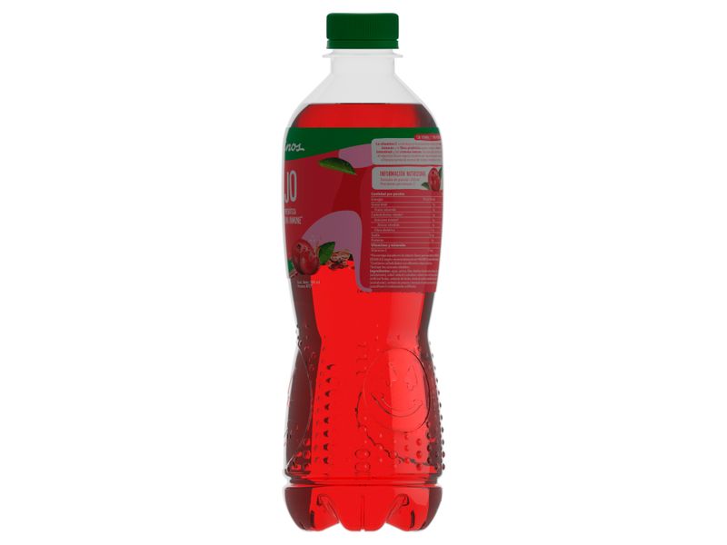 Te-Rojo-Dos-Pinos-Botella-500ml-5-49005