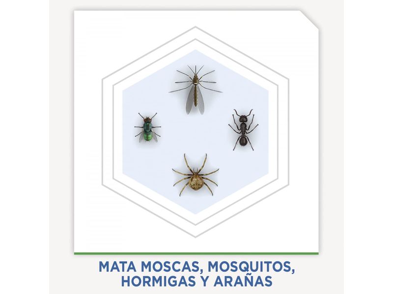 Insecticida-Raid-Casa-Jardin-Eucalipto-Aerosol-430ml-5-36073