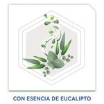 Insecticida-Raid-Casa-Jardin-Eucalipto-Aerosol-430ml-6-36073