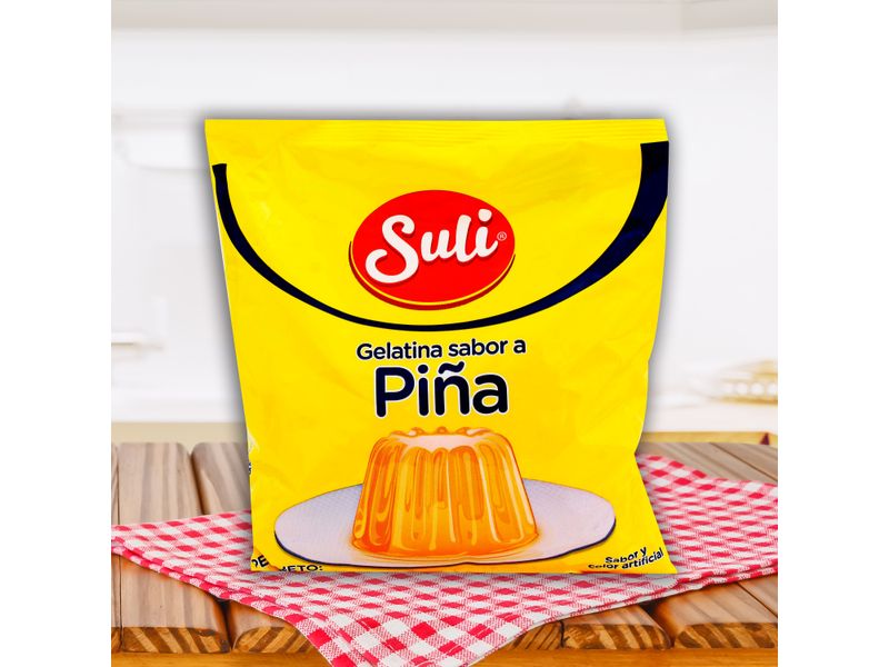 Gelatina-Suli-Pi-a-Bolsa-454gr-3-31826