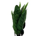 Planta-Mainstays-Artificial-Ave-Del-Para-so-85cm-3-58673