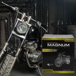 Bateria-De-Moto-Btx7L-Bs-Magnum-Agm-4-28849