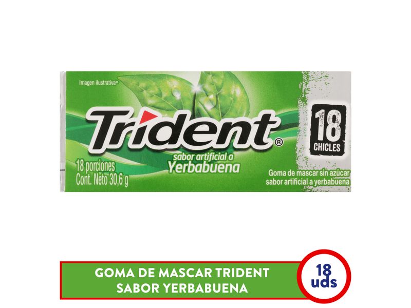 Goma-De-Mascar-Trident-Sabor-Yerbabuena-Vup-30-6g-1-37947