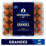 Huevo-Granjazul-Grande-Marron-30-Unidades-1-30891