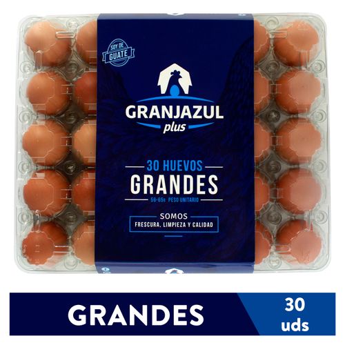 Huevo de Gallina Granjazul Marron Grande  - 30 Unidades