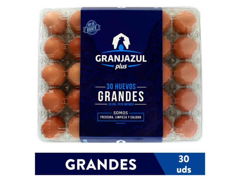 Huevo-Granjazul-Grande-Marron-30-Unidades-1-30891