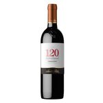 Vino-Tinto-Santa-Rita-120-Carmenere-750ml-2-63930