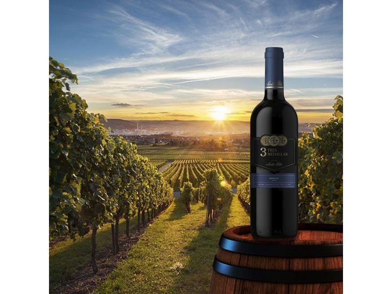 Vino-Tinto-Santa-Rita-3Medallas-Merlot-750ml-4-63925