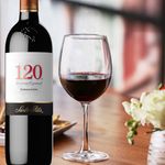 Vino-Tinto-Santa-Rita-120-Carmenere-750ml-4-63930