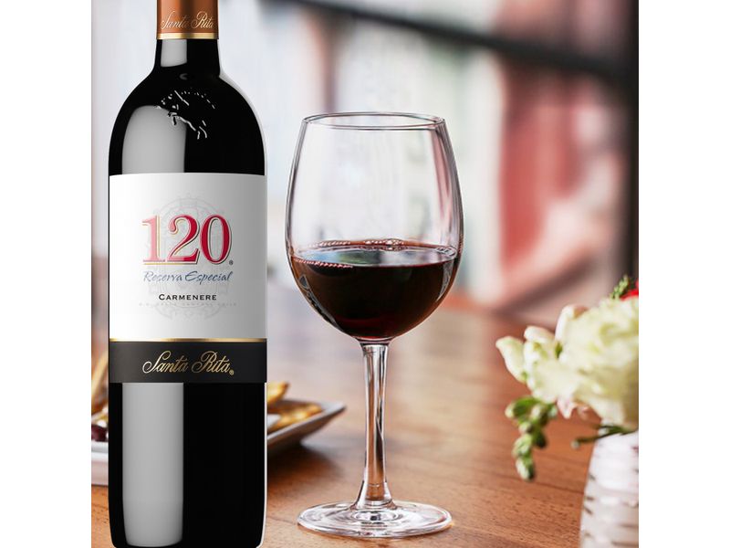 Vino-Tinto-Santa-Rita-120-Carmenere-750ml-4-63930