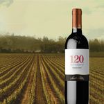 Vino-Tinto-Santa-Rita-120-Carmenere-750ml-5-63930