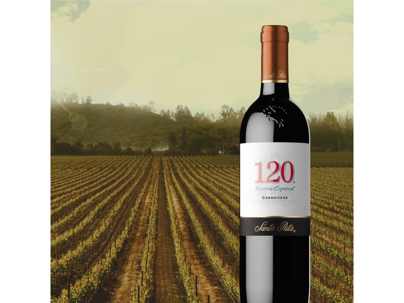 Vino-Tinto-Santa-Rita-120-Carmenere-750ml-5-63930