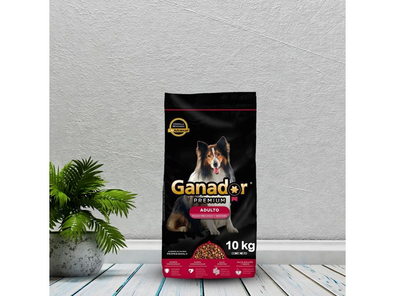 Alimento-Ganador-Para-Perro-Adulto-Raza-Mediana-Y-Grande-10kg-10-60587