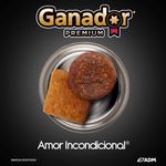 Alimento-Ganador-Para-Perro-Adulto-Raza-Mediana-Y-Grande-10kg-5-60587