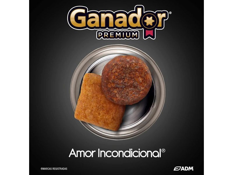 Alimento-Ganador-Para-Perro-Adulto-Raza-Mediana-Y-Grande-10kg-5-60587