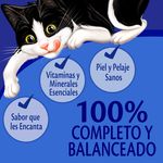 Alimento-H-medo-Gato-Adulto-Purina-Felix-Pollo-85g-8-36618