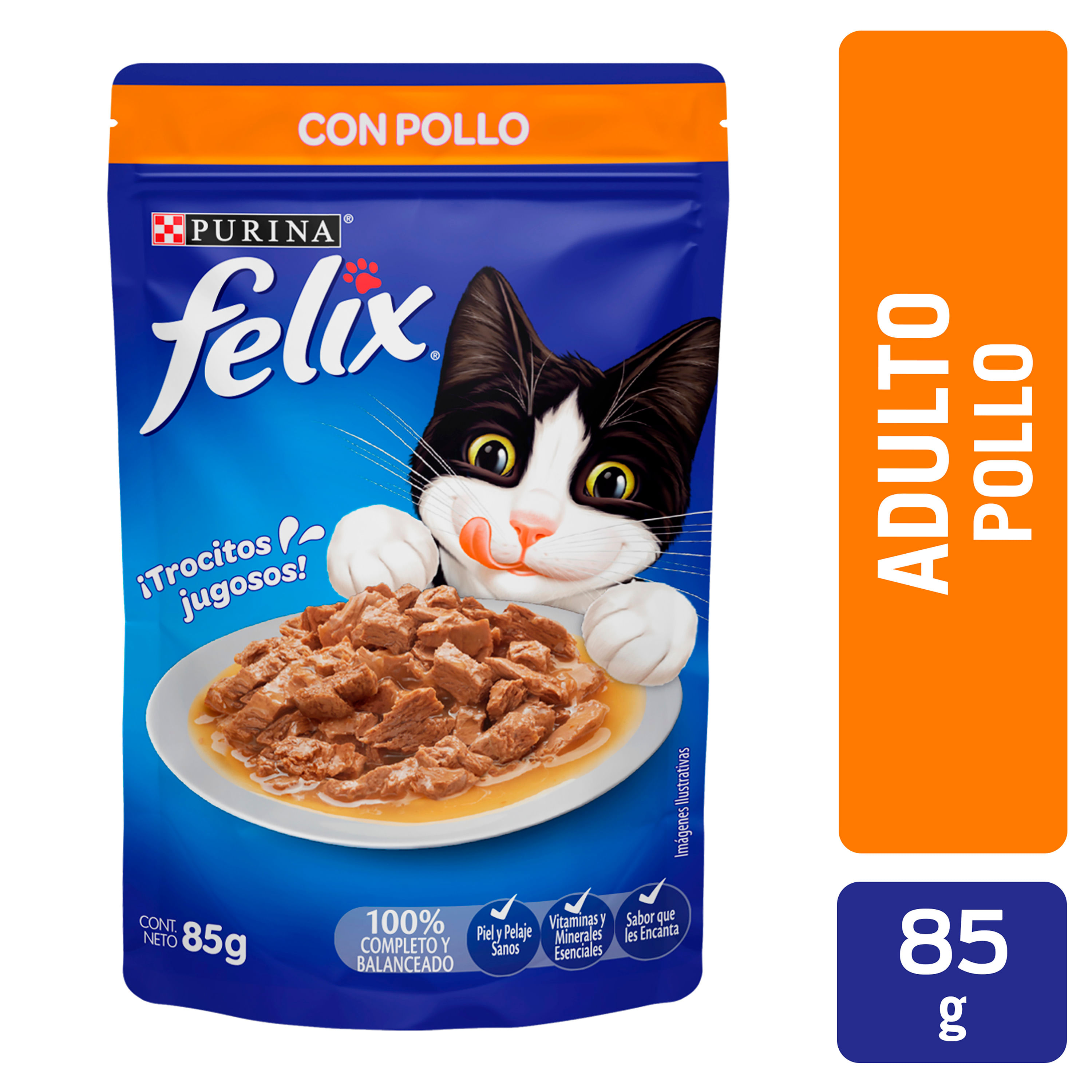 Alimento-H-medo-Gato-Adulto-Purina-Felix-Pollo-85g-1-36618