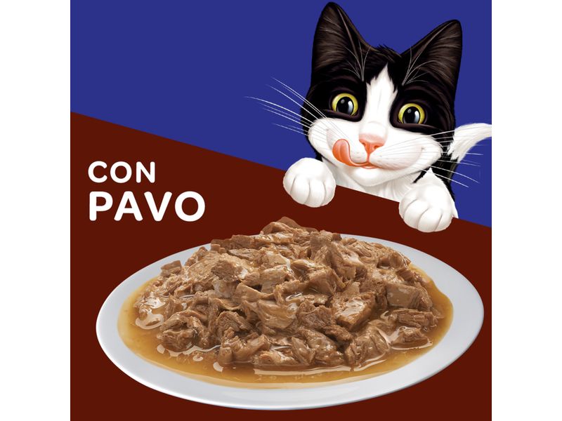 Alimento-H-medo-Gato-Adulto-Purina-Felix-Pavo-85g-7-36612