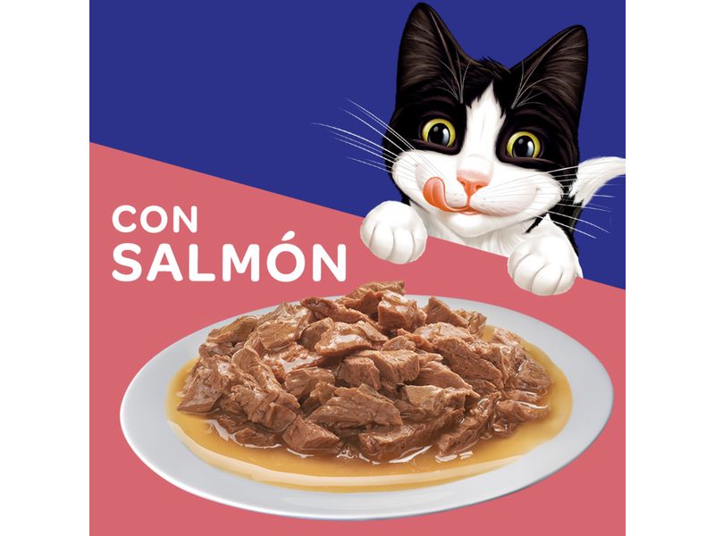 Alimento-H-medo-Gato-Adulto-Purina-Felix-Salm-n-85g-7-36617