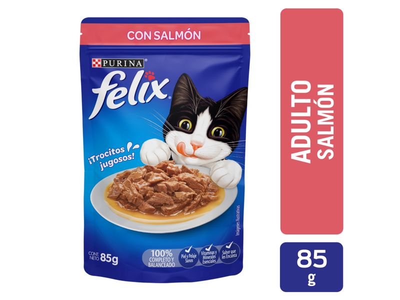 Alimento-H-medo-Gato-Adulto-Purina-Felix-Salm-n-85g-1-36617