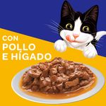 Alimento-H-medo-Gato-Adulto-Purina-Felix-Pollo-e-H-gado-85g-7-36615