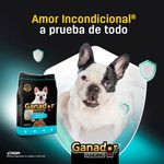 Alimento-Ganador-Para-Perro-Adulto-Raza-Peque-a-4kg-4-60582