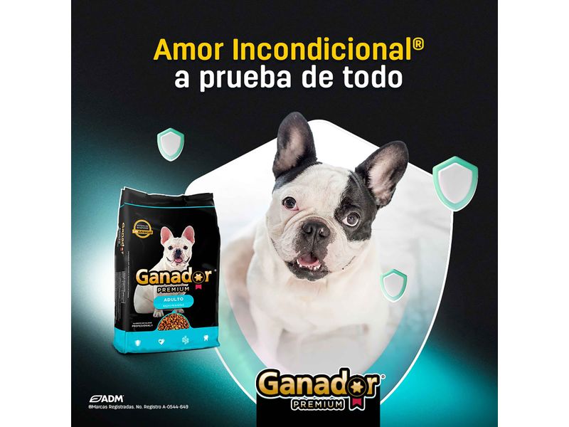 Alimento-Ganador-Para-Perro-Adulto-Raza-Peque-a-4kg-4-60582