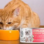 Alim-Special-K-Hum-Gato-Sab-Salmon-140gr-7-63795