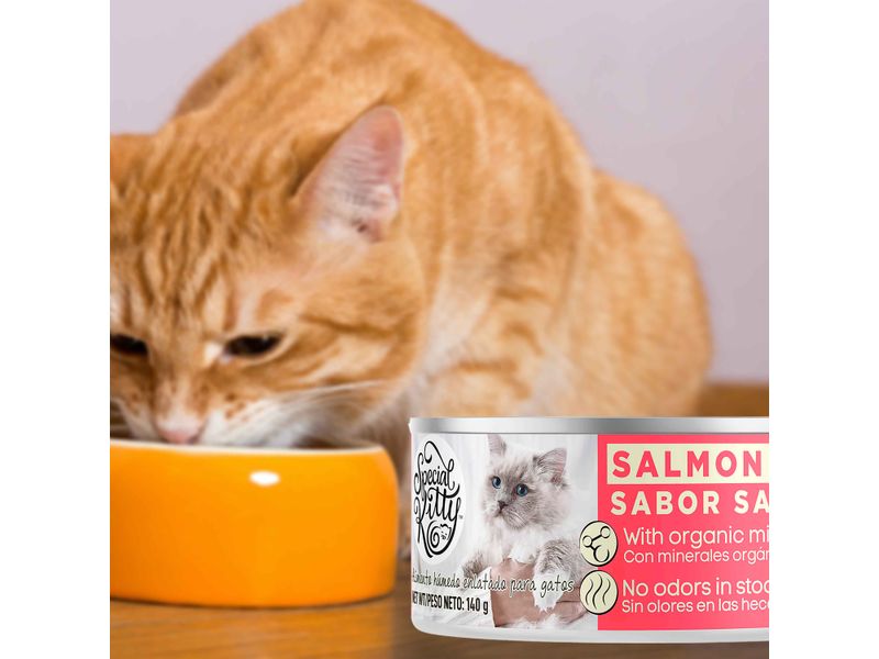 Alim-Special-K-Hum-Gato-Sab-Salmon-140gr-7-63795