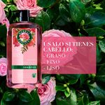 Shampoo-Herbal-Essences-Smooth-Rose-Hips-865-ml-4-57163