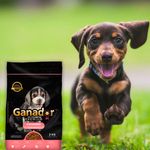 Alimento-Ganador-Para-Perro-Cachorro-Razas-Peque-a-2kg-3-60583