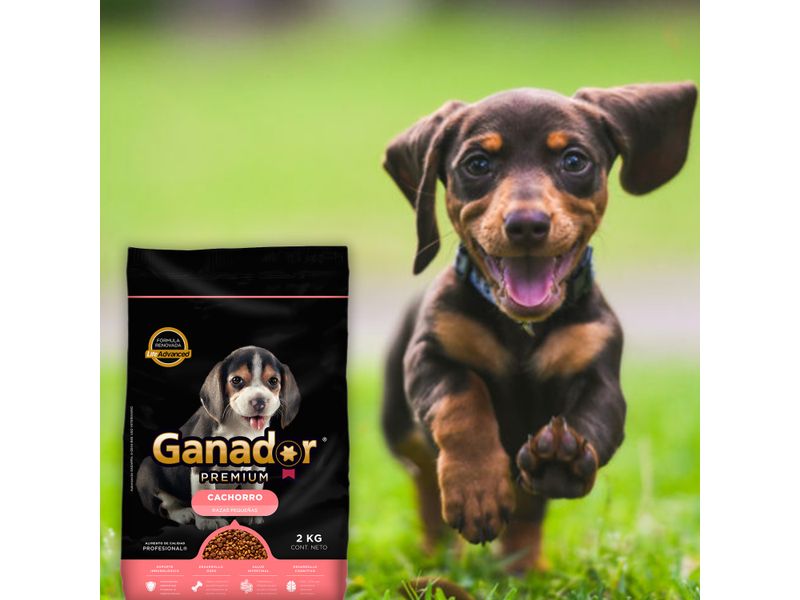 Alimento-Ganador-Para-Perro-Cachorro-Razas-Peque-a-2kg-3-60583