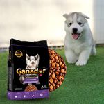 Alimento-Seco-Ganador-Premium-Para-Perro-Cachorro-Razas-Medianas-Y-Grandes-4kg-5-37471