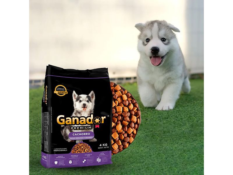 Alimento-Seco-Ganador-Premium-Para-Perro-Cachorro-Razas-Medianas-Y-Grandes-4kg-5-37471