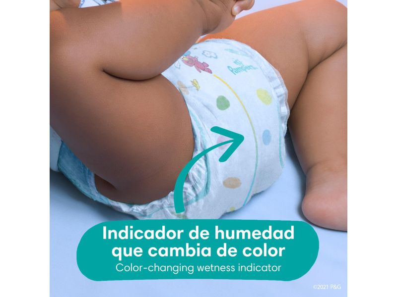 Pa-ales-Pampers-Baby-Dry-Talla-3-7-15kg-144Uds-3-5128