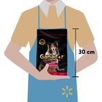 Alimento-Seco-Ganador-Premium-Para-Perro-Adulto-Razas-Medianas-Y-Grandes-4kg-3-37470