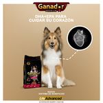 Alimento-Seco-Ganador-Premium-Para-Perro-Adulto-Razas-Medianas-Y-Grandes-4kg-4-37470