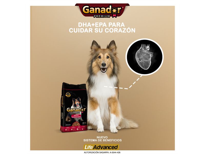 Alimento-Seco-Ganador-Premium-Para-Perro-Adulto-Razas-Medianas-Y-Grandes-4kg-4-37470